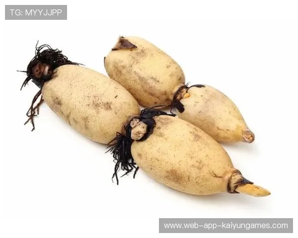 ¦ó+¹ÐÃ+¸-ÀÎ¦¦¼+Ï+»ú¼¦+ÈÌ+¦+¦ð--§¢Ë¦Ó+-